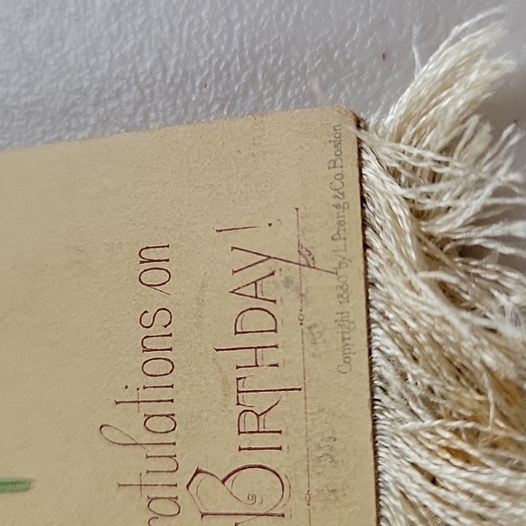 Antique Chromolithograph L. Prang & Co. 1880 Silk Fringe Birthday Card - Picture 10 of 11